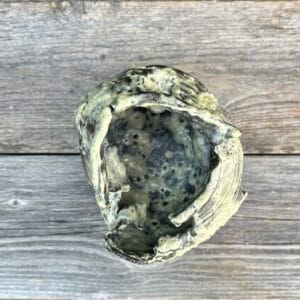 Moon Jar [Rock Glaze Exhibition : Pink Feldspar – K1] - Image 6